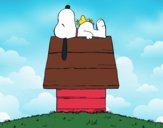 Snoopy durmiendo