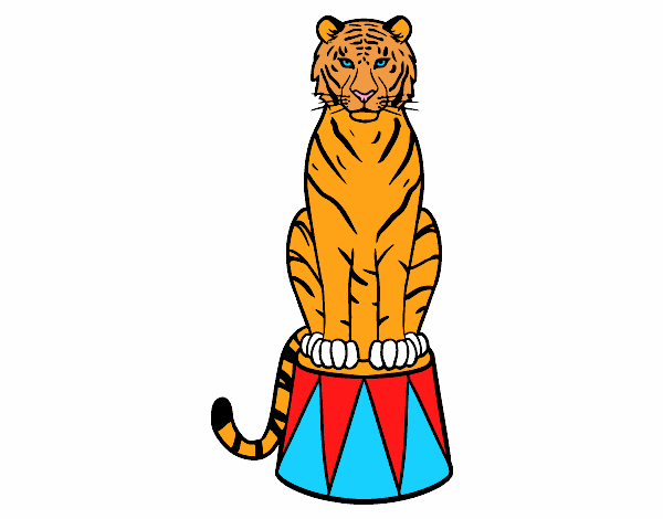 Tigre de circo