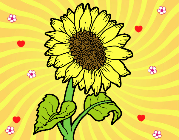 Dibujo de el girasol de sol pintado por en  el día 24-01-18 a  las 03:09:22. Imprime, pinta o colorea tus propios dibujos!