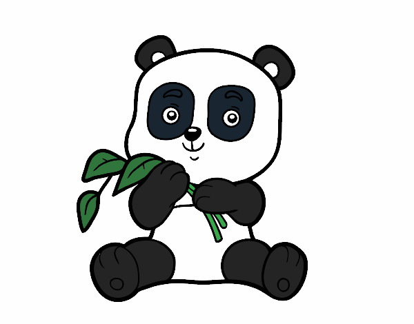 El panda adorable
