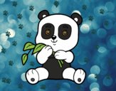 Un oso panda