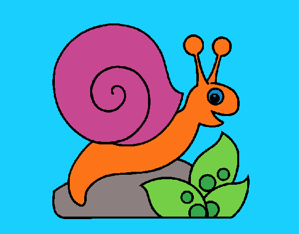 Caracol