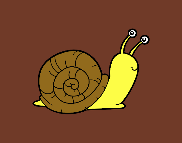 El caracol