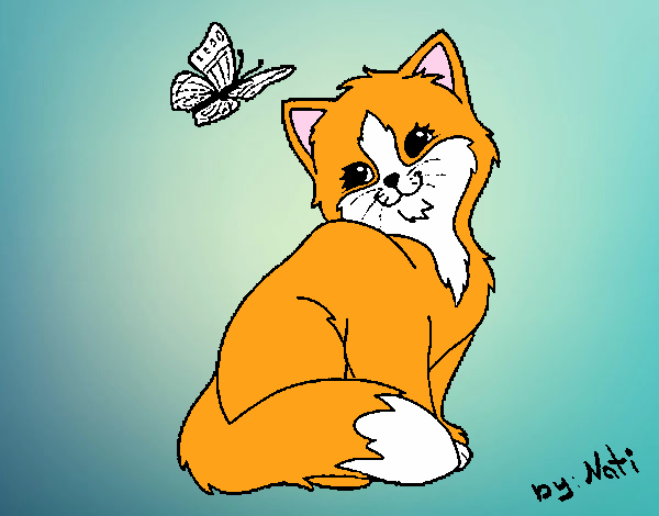 Gatito y mariposa