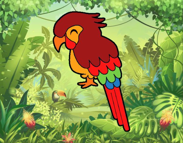 Guacamayo