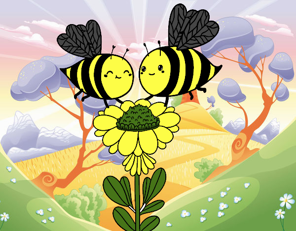 Pareja de abejas