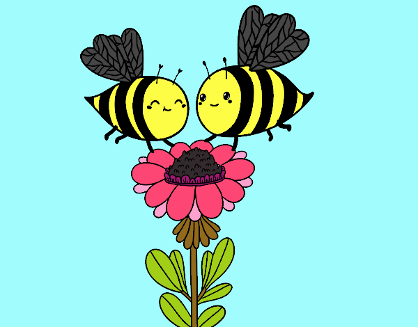 Pareja de abejas