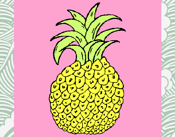 piña