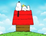 Snoopy durmiendo