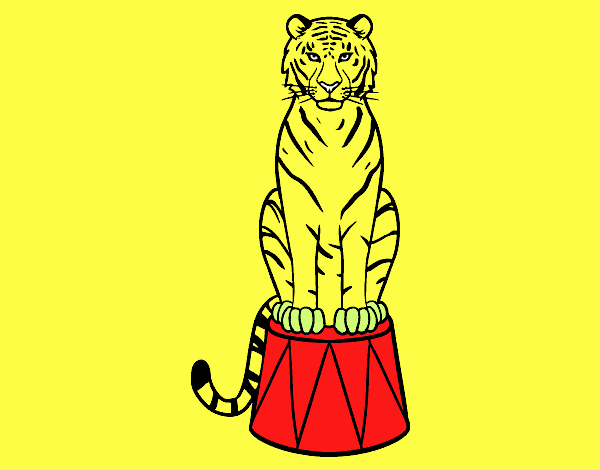 Tigre de circo