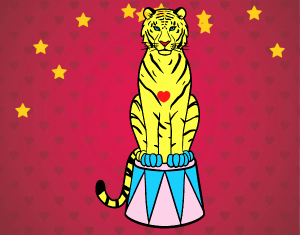 Tigre de circo