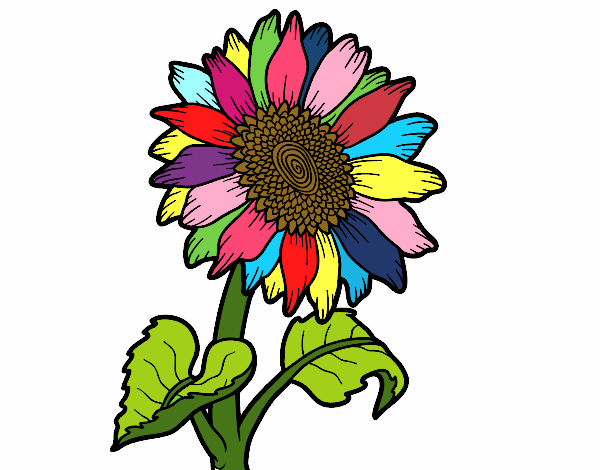 Dibujo de La Flor Colorida pintado por en  el día 02-02-18 a las  04:39:32. Imprime, pinta o colorea tus propios dibujos!