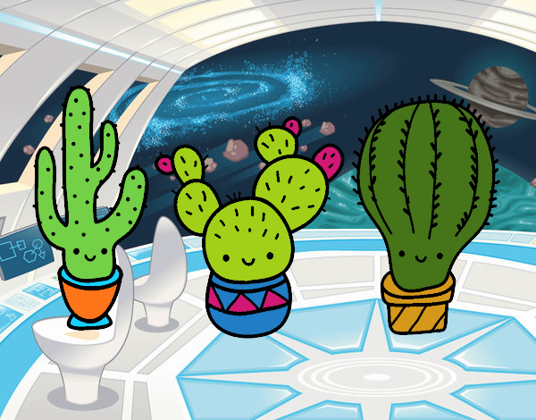 3 mini cactus