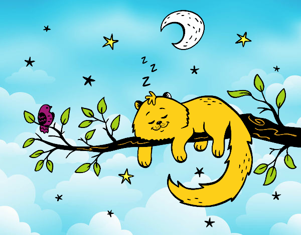 Dibujo El gato y la luna pintado por Kerstin
