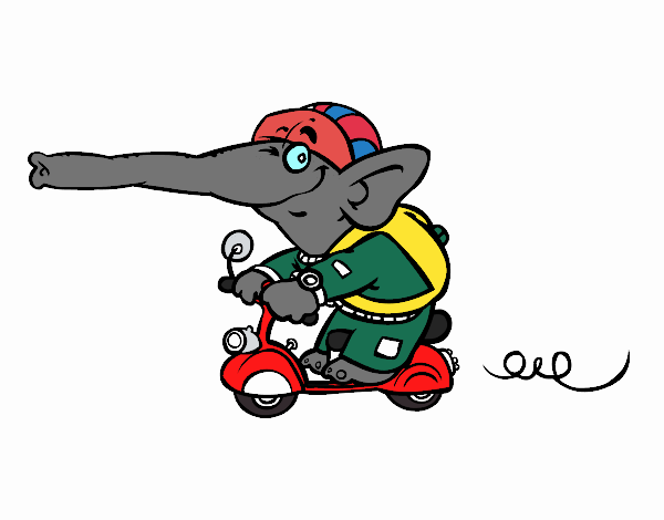 Elefante en moto