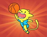 Gato jugando a baloncesto