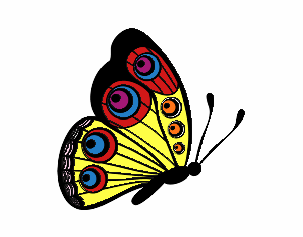 mariposa