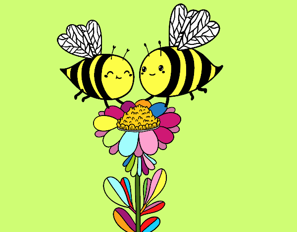 Pareja de abejas