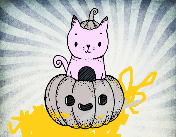 Un gatito de Halloween