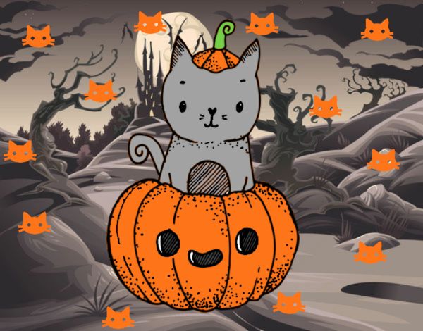 Un gatito de Halloween