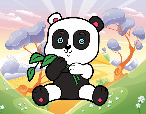 Un oso panda