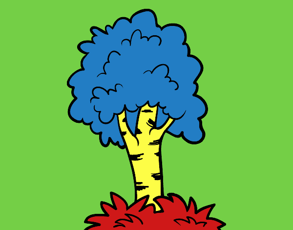 Árbol 7