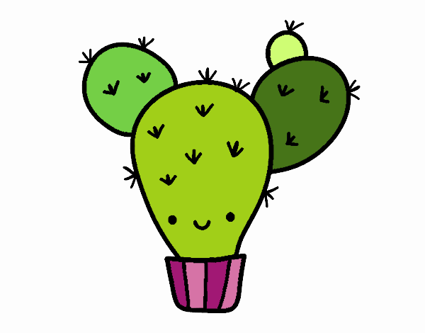 Cactus nopal