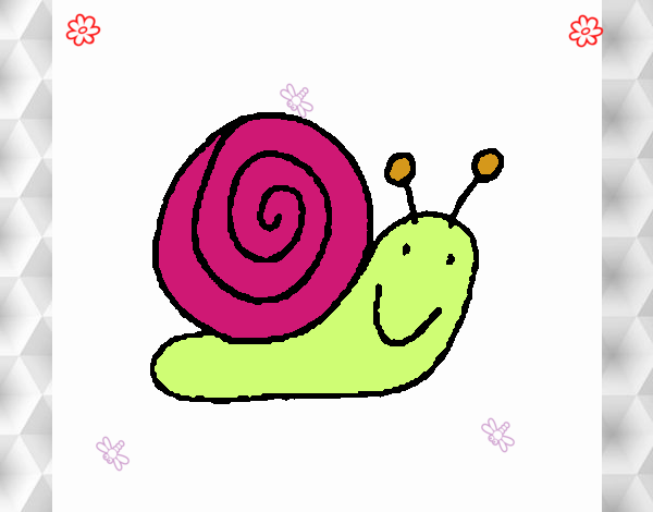 Caracol 4