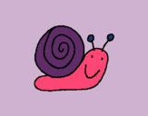 Caracol 4