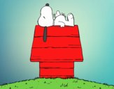 Snoopy durmiendo