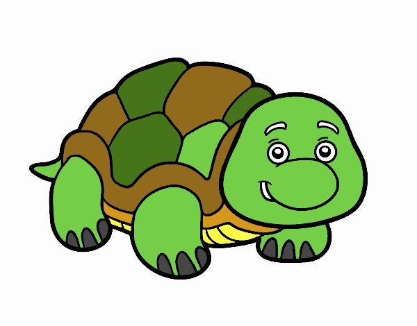 Tortuga de tierra