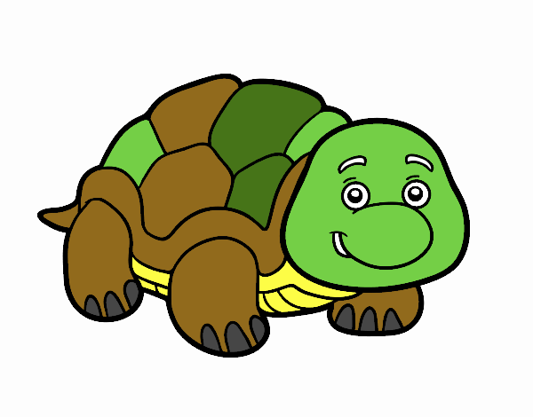 tortuga de tierra