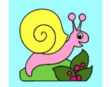 Caracol