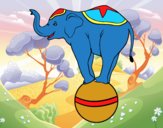 Elefante equilibrista