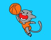 Gato jugando a baloncesto