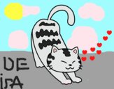 Gato vago