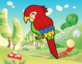 Guacamayo