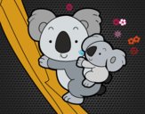 Madre koala