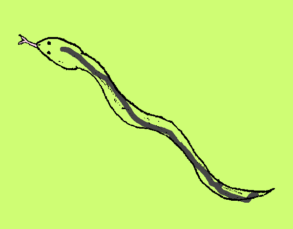 Serpiente venenosa