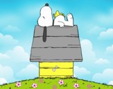 Snoopy durmiendo