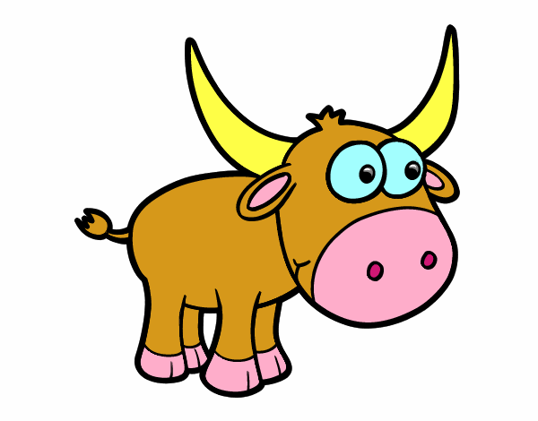 Torito