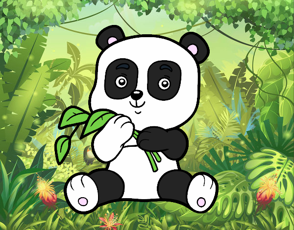 Un oso panda