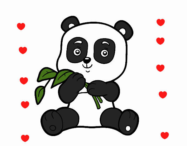 Rances oso panda