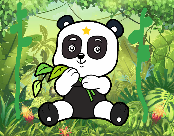 Un oso panda