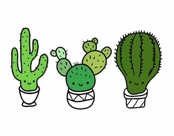 3 kawai cactus