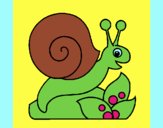 Caracol