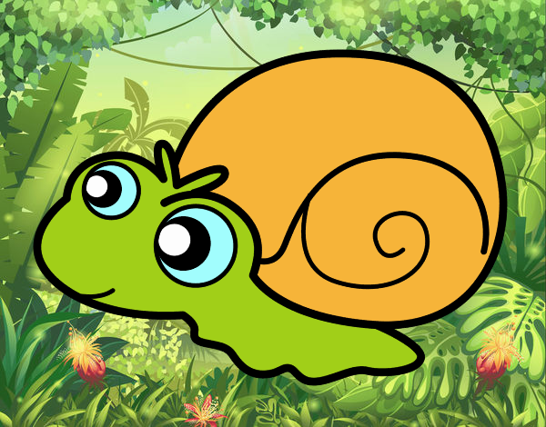 Caracol bebé