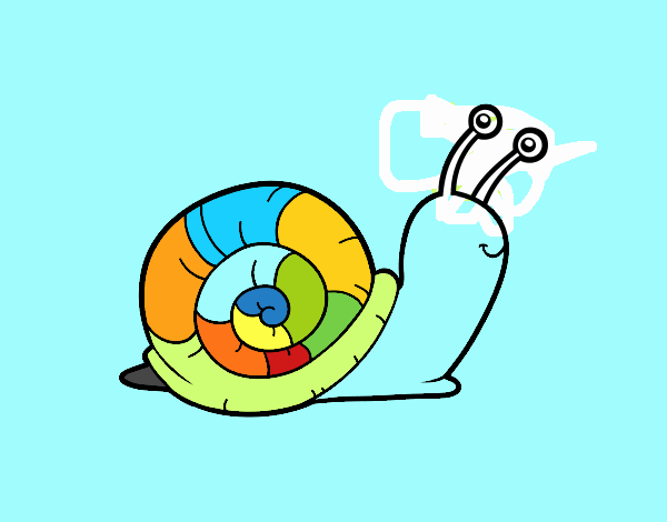 El caracol