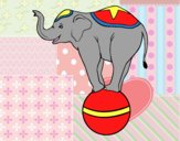 Elefante equilibrista