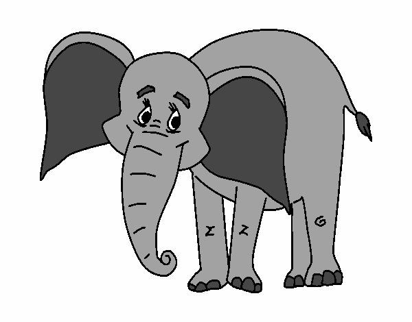 Elefante feliz